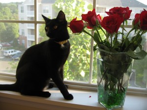 Eva experiencing her first bouquet of roses.