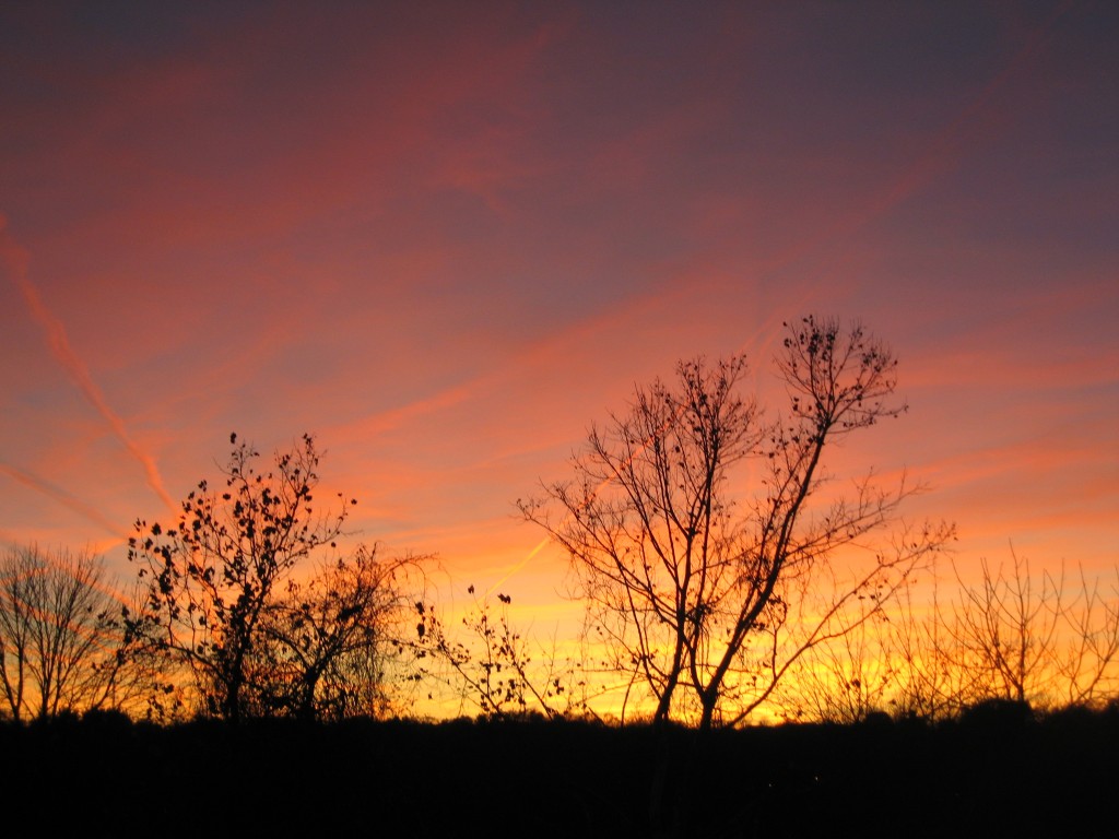 Virginia Autumn Sunset